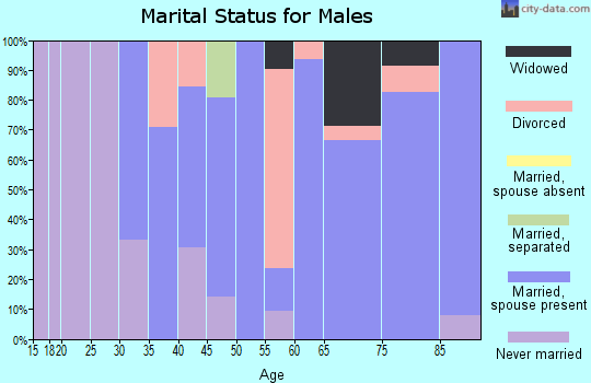 Zip code 65601 marital status for males