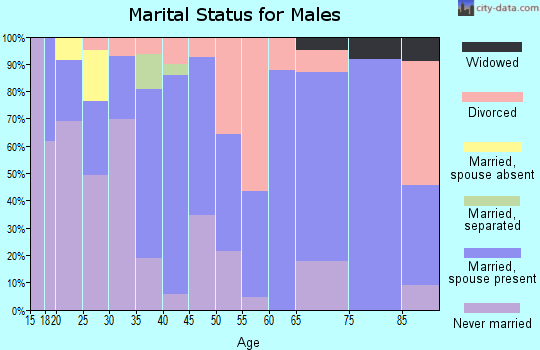 Zip code 65606 marital status for males