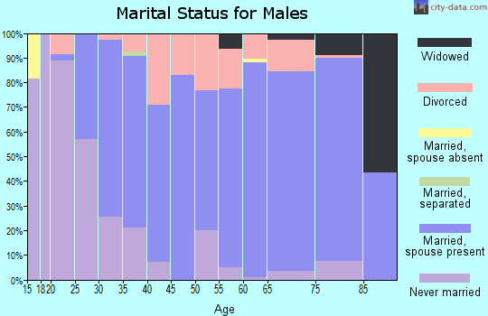 Zip code 65608 marital status for males