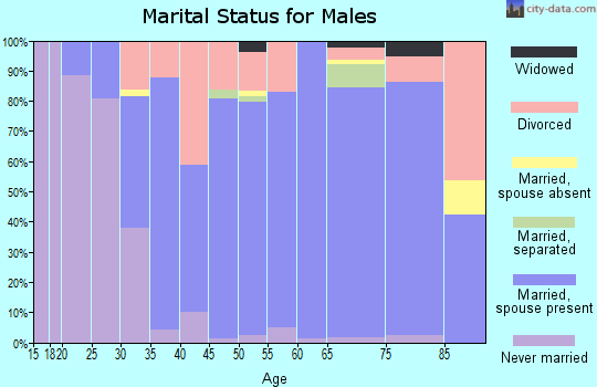 Zip code 65610 marital status for males