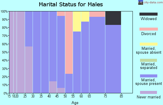 Zip code 65611 marital status for males