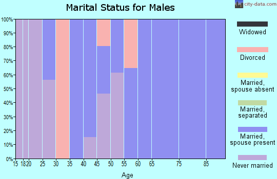 Zip code 65612 marital status for males