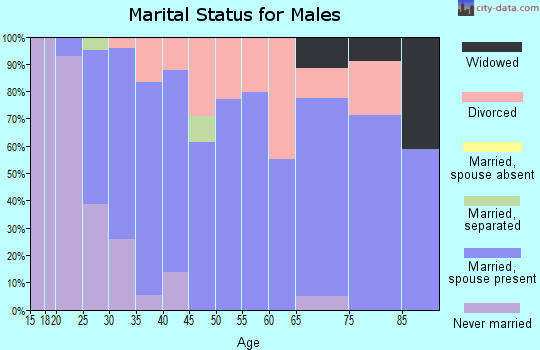 Zip code 65619 marital status for males