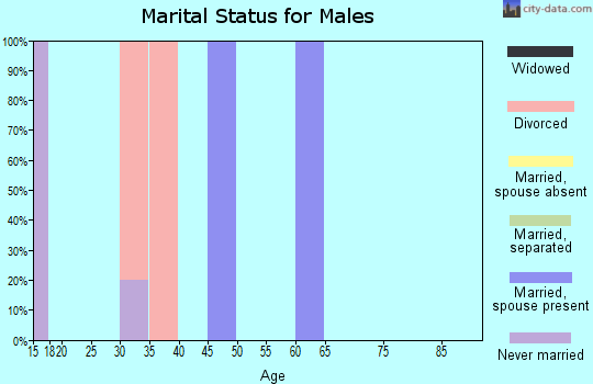 Zip code 65623 marital status for males