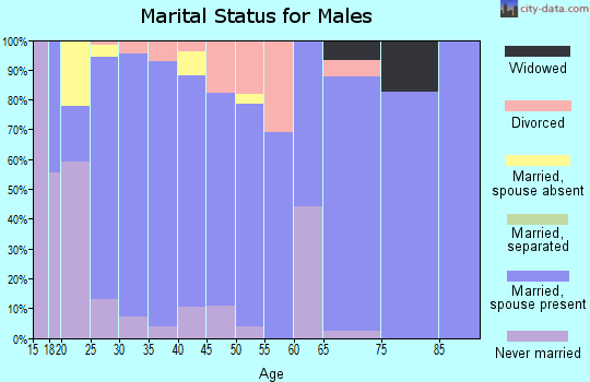 Zip code 65631 marital status for males
