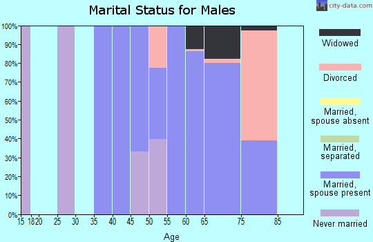 Zip code 65641 marital status for males