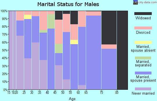 Zip code 65646 marital status for males