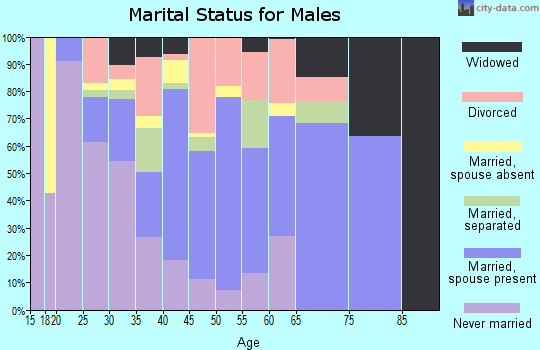 Zip code 65652 marital status for males