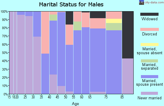 Zip code 65655 marital status for males