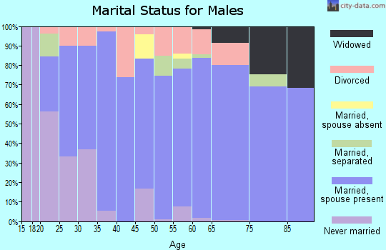 Zip code 65656 marital status for males