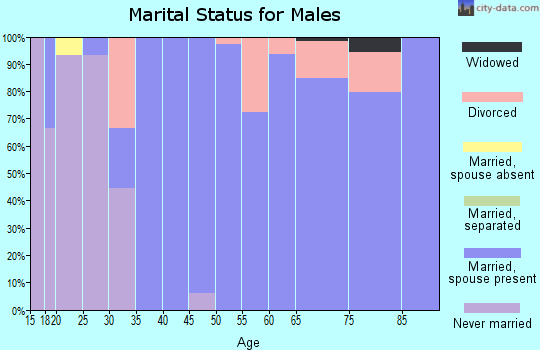 Zip code 65658 marital status for males