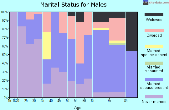 Zip code 65661 marital status for males