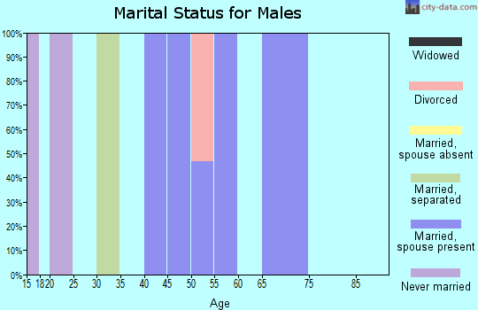 Zip code 65664 marital status for males