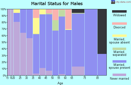 Zip code 65667 marital status for males