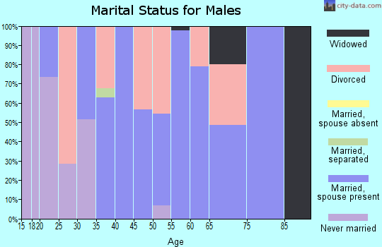 Zip code 65669 marital status for males