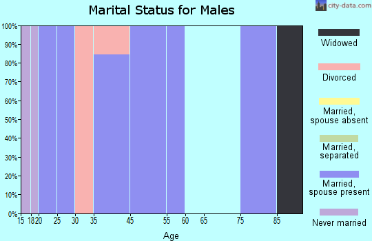 Zip code 65675 marital status for males