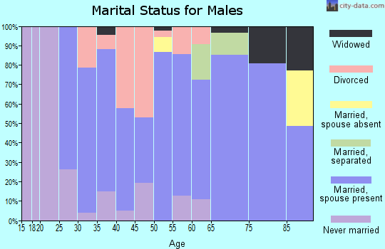 Zip code 65682 marital status for males