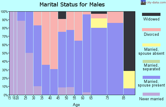 Zip code 65689 marital status for males