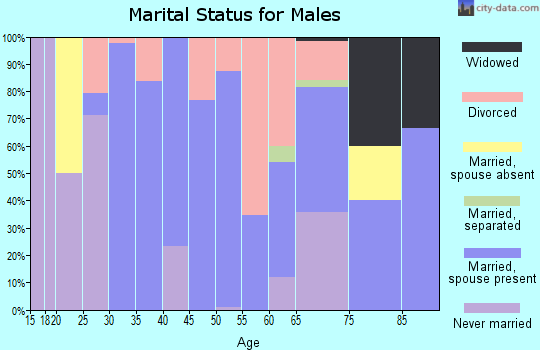 Zip code 65692 marital status for males
