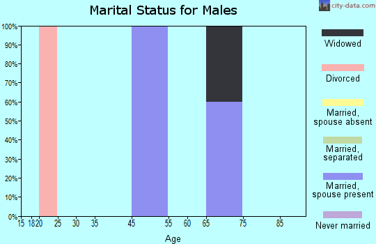 Zip code 65701 marital status for males