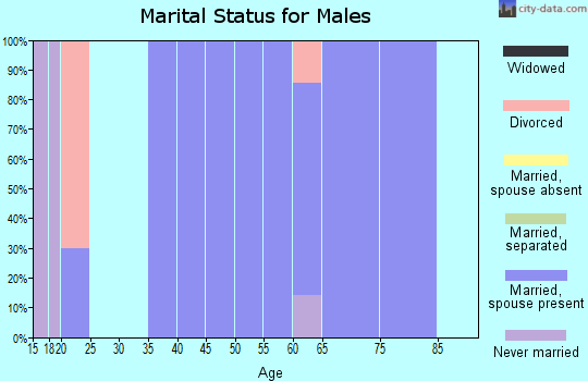 Zip code 65702 marital status for males