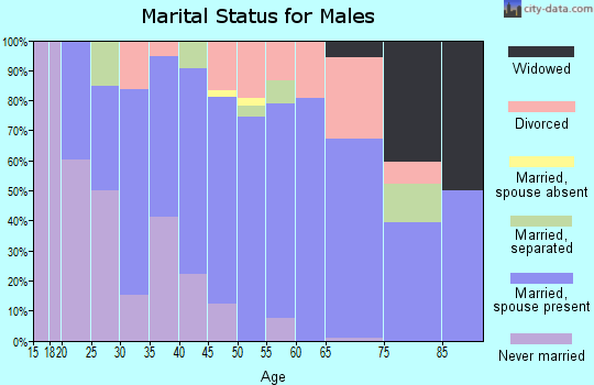 Zip code 65704 marital status for males