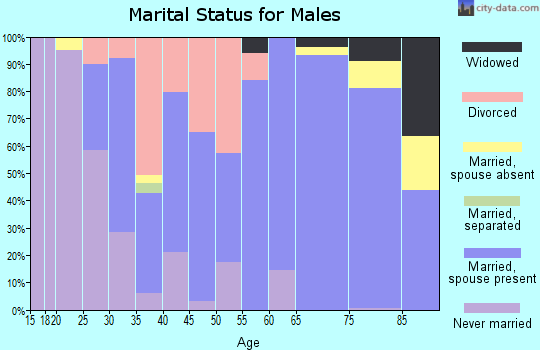 Zip code 65705 marital status for males