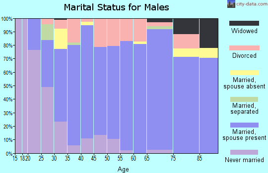 Zip code 65706 marital status for males