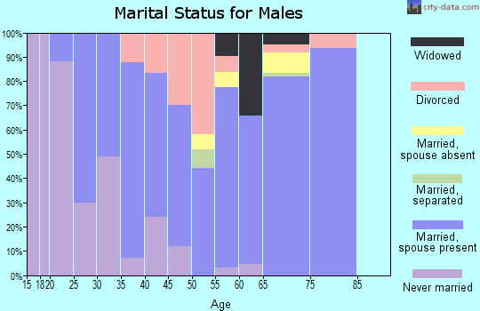 Zip code 65707 marital status for males