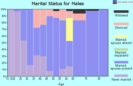 Zip code 65713 marital status for males