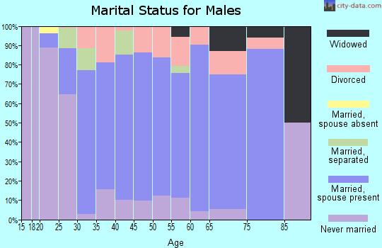 Zip code 65717 marital status for males