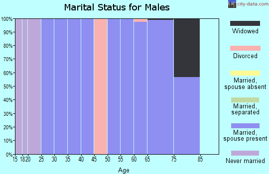 Zip code 65722 marital status for males