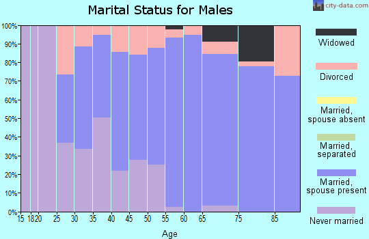 Zip code 65723 marital status for males