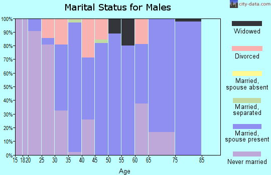Zip code 65725 marital status for males