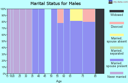 Zip code 65739 marital status for males