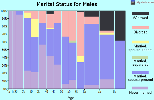 Zip code 65740 marital status for males