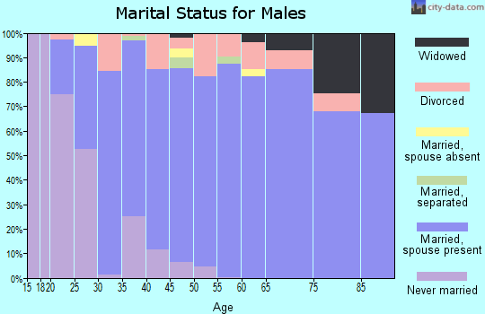 Zip code 65742 marital status for males