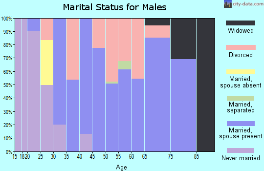 Zip code 65745 marital status for males
