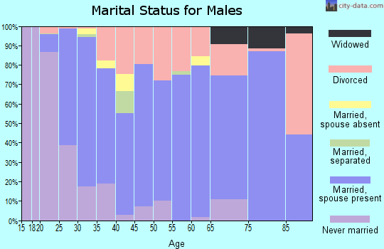 Zip code 65746 marital status for males