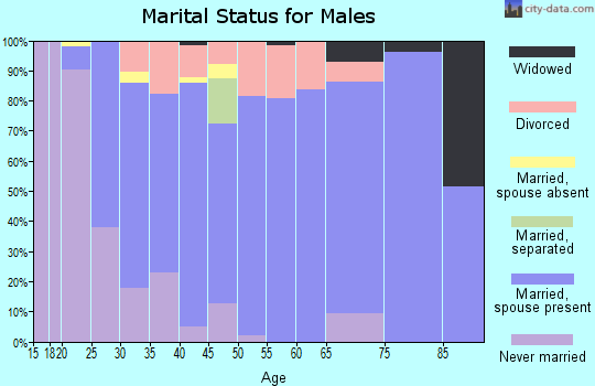 Zip code 65753 marital status for males