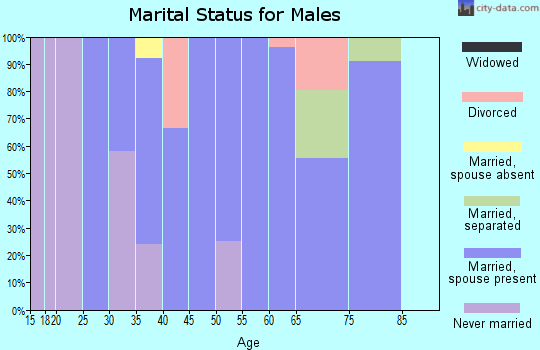 Zip code 65756 marital status for males