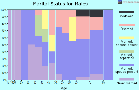 Zip code 65761 marital status for males