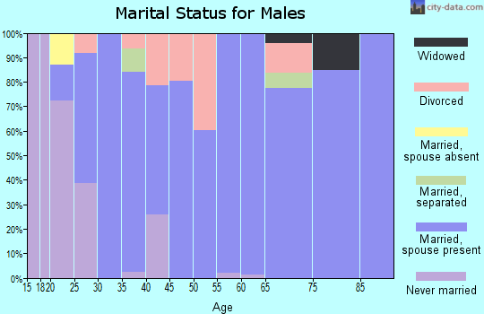 Zip code 65781 marital status for males