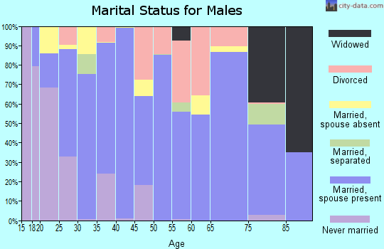 Zip code 65785 marital status for males