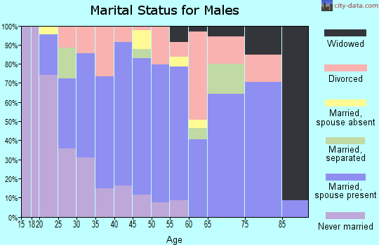 Zip code 65791 marital status for males