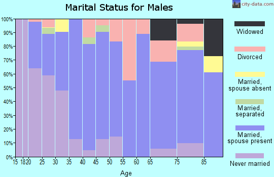 Zip code 65793 marital status for males