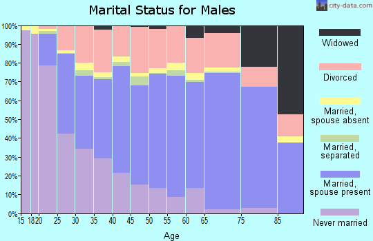 Zip code 65803 marital status for males