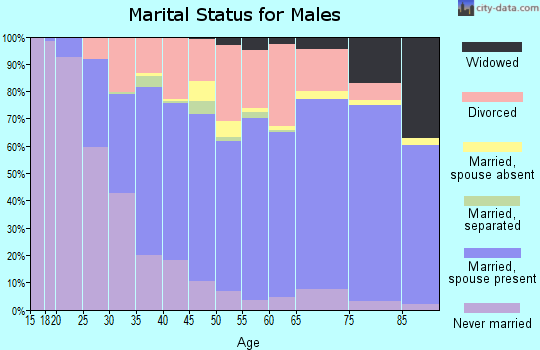 Zip code 65804 marital status for males