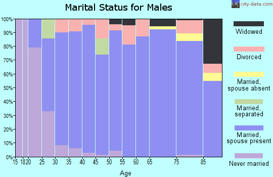 Zip code 65809 marital status for males