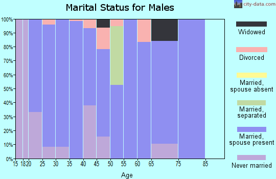 Zip code 66041 marital status for males